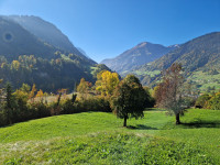 Eichbüel Autumn Migration Site